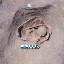 Rich archaeological finds from Dakaliya have been announced