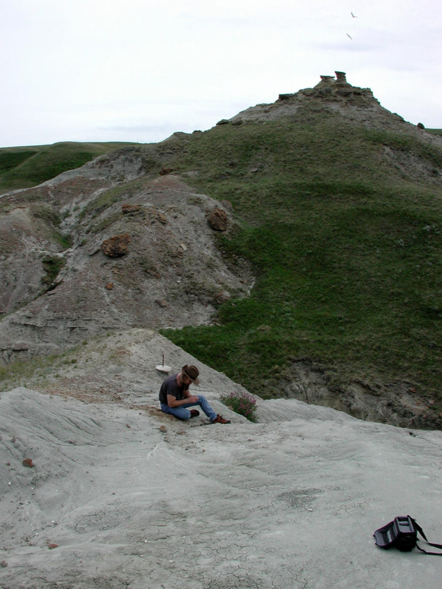 Dinosaur nesting site in Alberta, Canada. Credit: 
Darla Zelenitsky