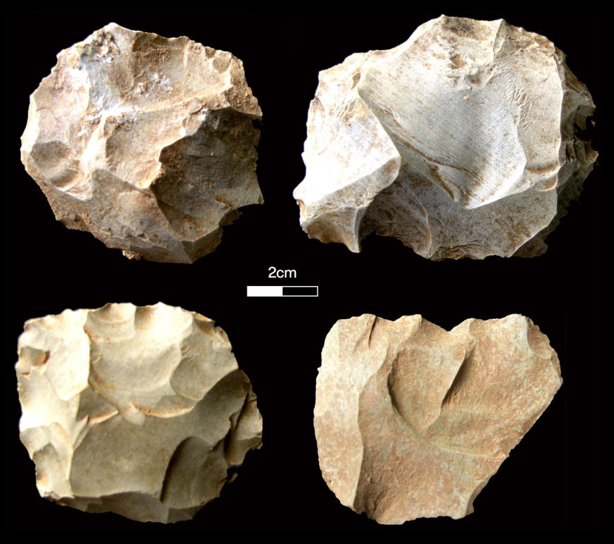 Stone tools found at the Dhaba site corresponding with the Toba volcanic super-eruption levels. Pictured here are diagnostic Middle Palaeolithic core types. Credit: Chris Clarkson