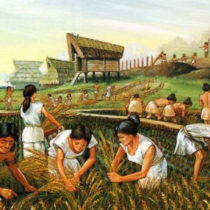 As ancient farming developed, so did cooperation — and violence