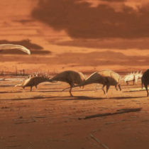 Dinosaur stomping ground in Scotland reveals thriving middle Jurassic ecosystem