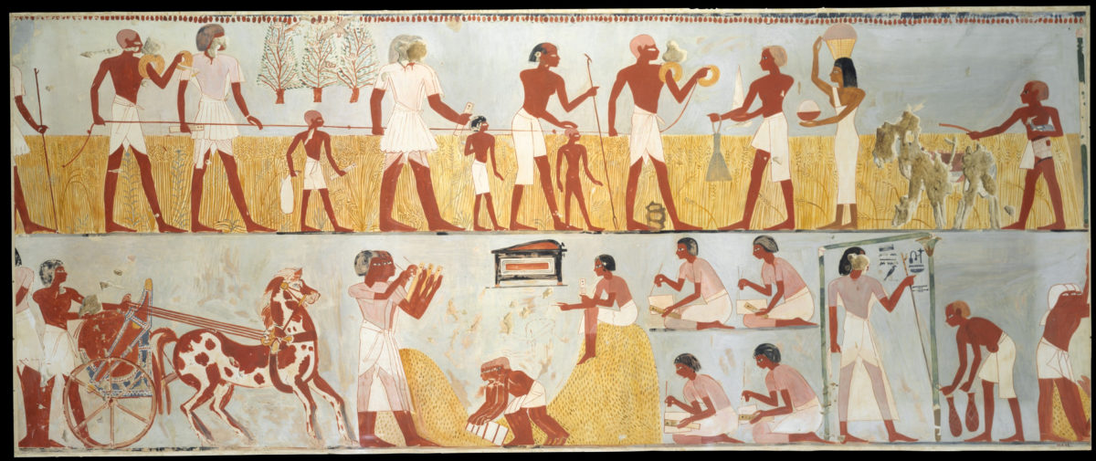 Harvest Scenes, Tomb of Menna. Credit: Wikimedia Commons