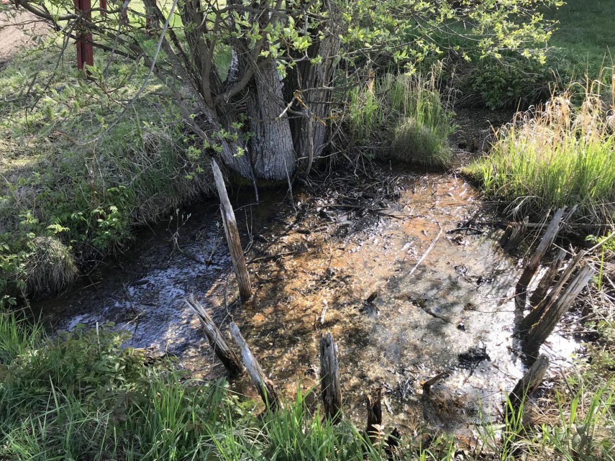 Levänluhta is among the most unique archaeological sites, even on a global scale. Today, three springs and their ferrous red water serve as reminders of this ancient burial site. Credit: Anna Wessman