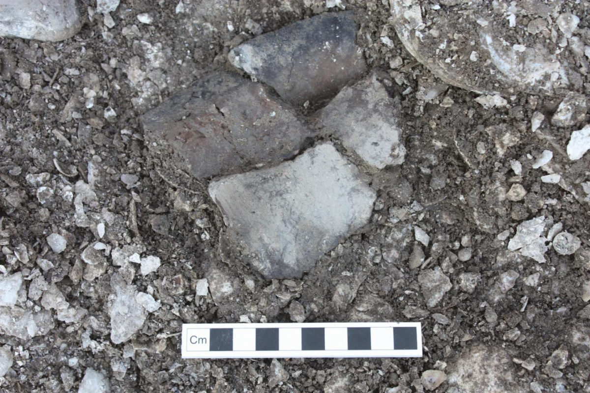 Pottery fragments found at the Havnø kitchen midden, Northern Denmark.
Credit: Harry Robson, University of York