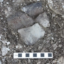 Study sheds light on unique culinary traditions of hunter-gatherers