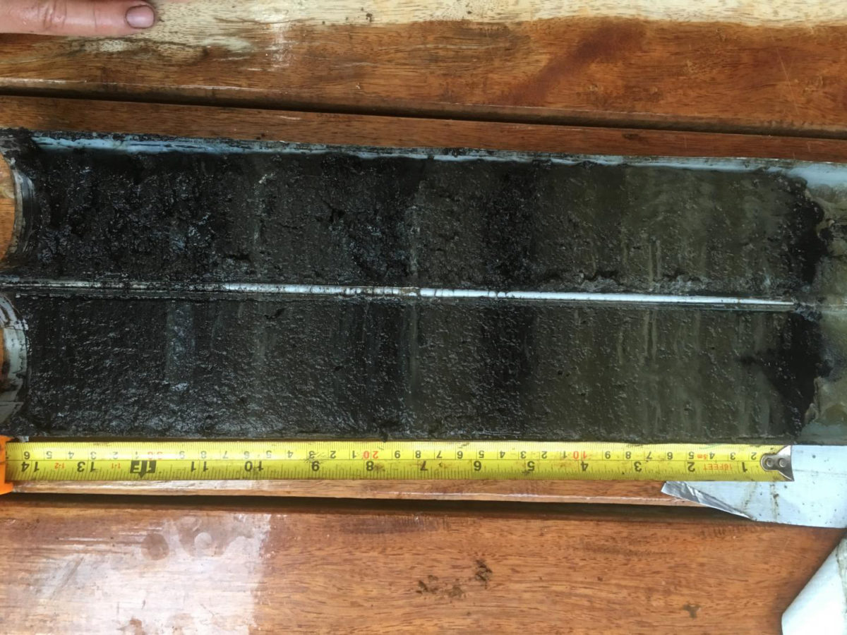 Two halves of core sample taken from Lake Te Roto on Atiu.
Credit: University of Southampton
