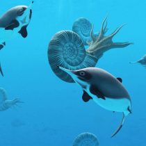 Extinct sea reptile swam in seas from England to Russia to the Arctic