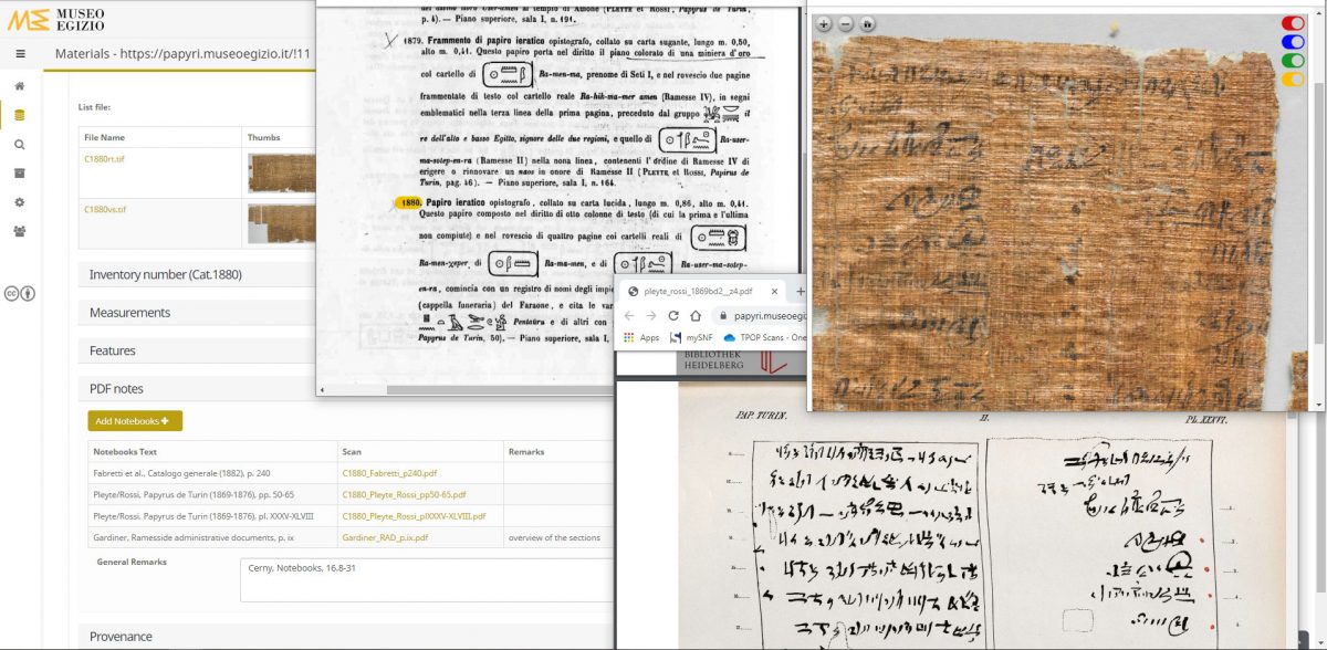Using the Turin Papyrus Museum Platform