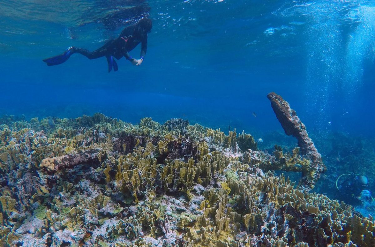 The reef lies in Mexican waters 35 kilometres (22 mi) offshore in the Caribbean Sea, or about 80 kilometres (50 mi) east of the city of Chetumal. Credit: INAH