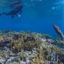 Underwater archaeologists from INAH discover 200-year-old wreck