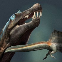 New fossils rewrite the story of dinosaur evolution and ecology