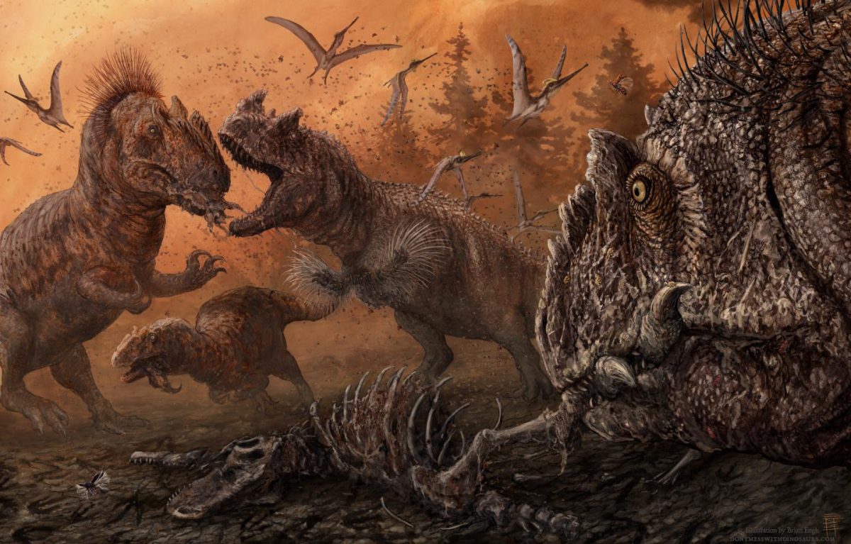 Big theropod dinosaurs such as Allosaurus and Ceratosaurus ate pretty much everything -- including each other, according to a new study. Credit: PLOS ONE