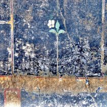 The vault of a cryptoporticus in Pompeii villa comes to light