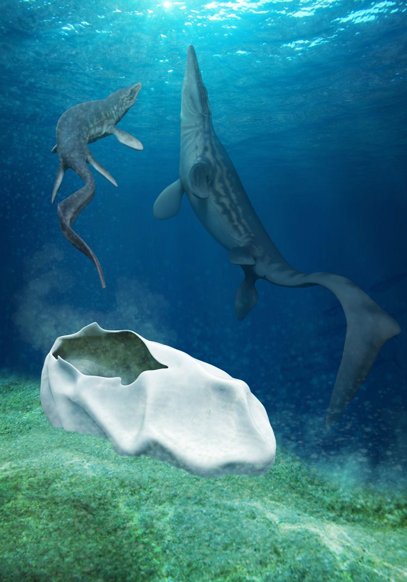 Hueichaleo reconstruction.




