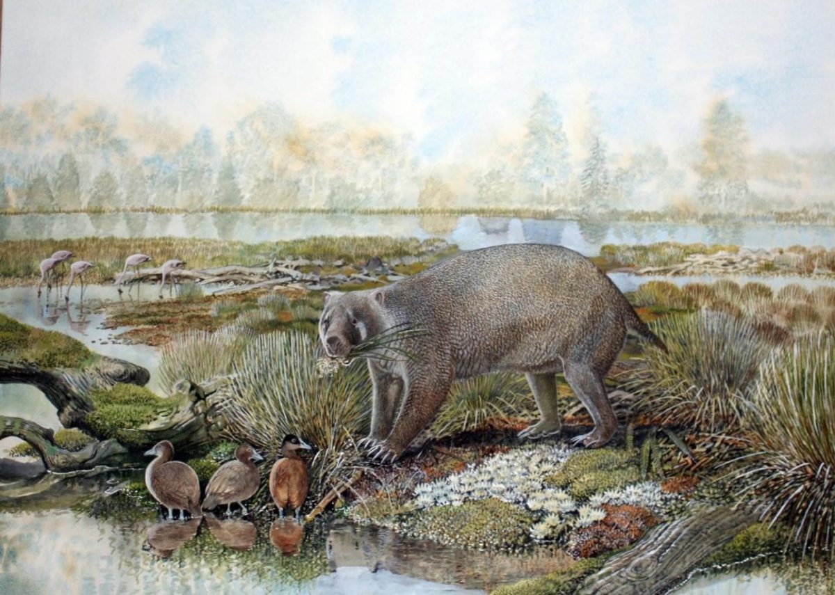 Artist’s impression of Mukupirna nambensis living in central Australia that was much greener 25 million years ago. Image Credit: Peter Schouten