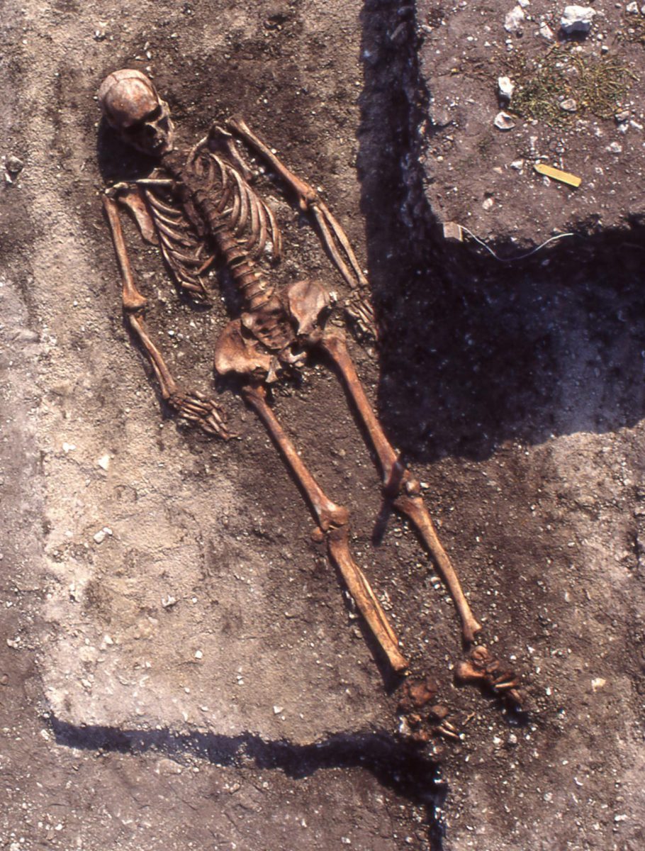 The man in grave 54 from the Ajvide Pitted Ware burial ground on Gotland is buried flat on his back, which is typical of Pitted Ware graves. Credit: 
Göran Burenhult