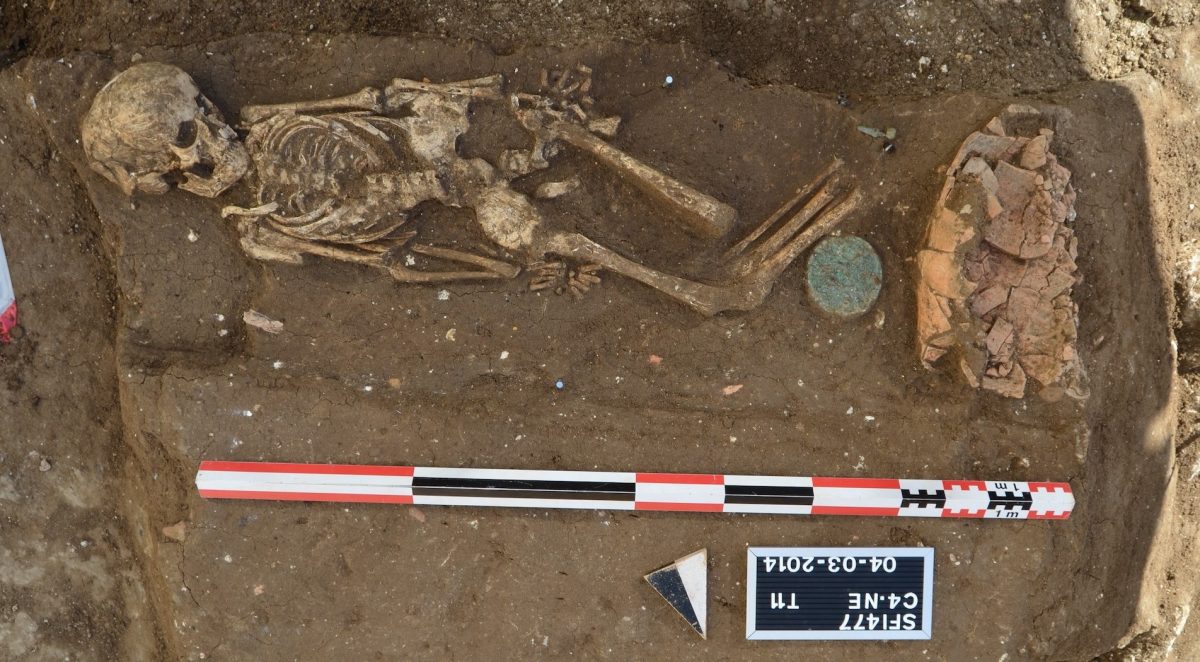 A 2,000-year-old individual sequenced in the study. Photo credits: Directorate General of Antiquities (Lebanon)