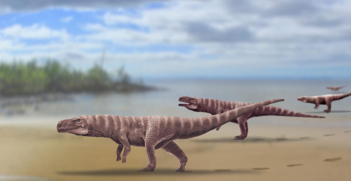 A reconstruction of the ancient landscape of South Korea with crocodile track-makers. Credit: Dr Anthony Romilio