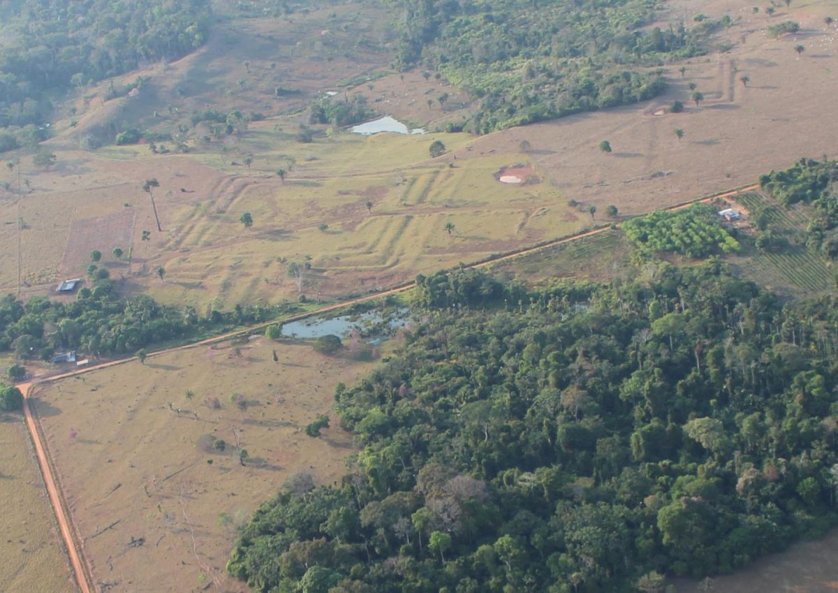 Aerial view of a main research site called Tequinho. Credit: 
Martti Pärssinen