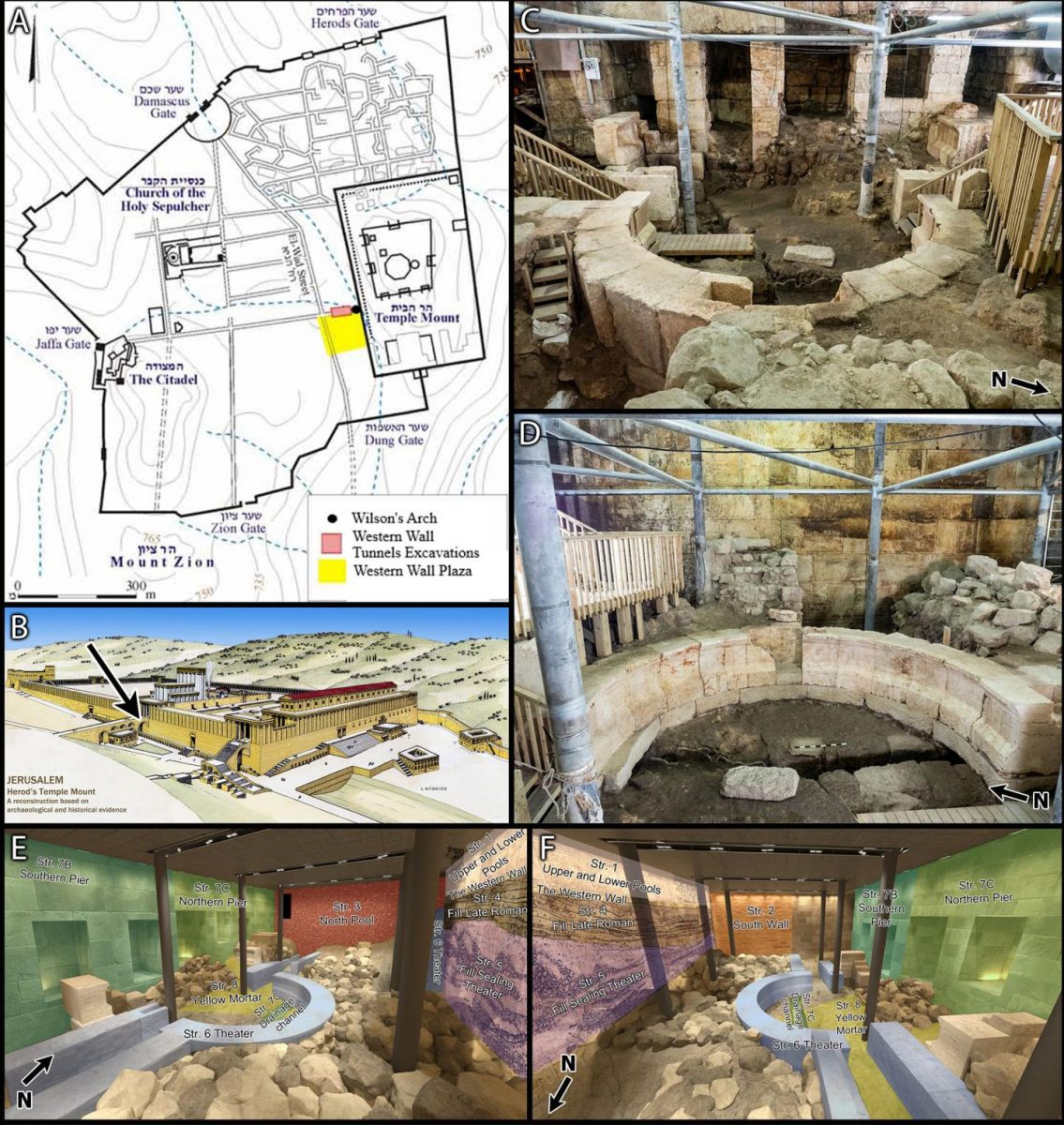 Wilson's Arch excavation area. 