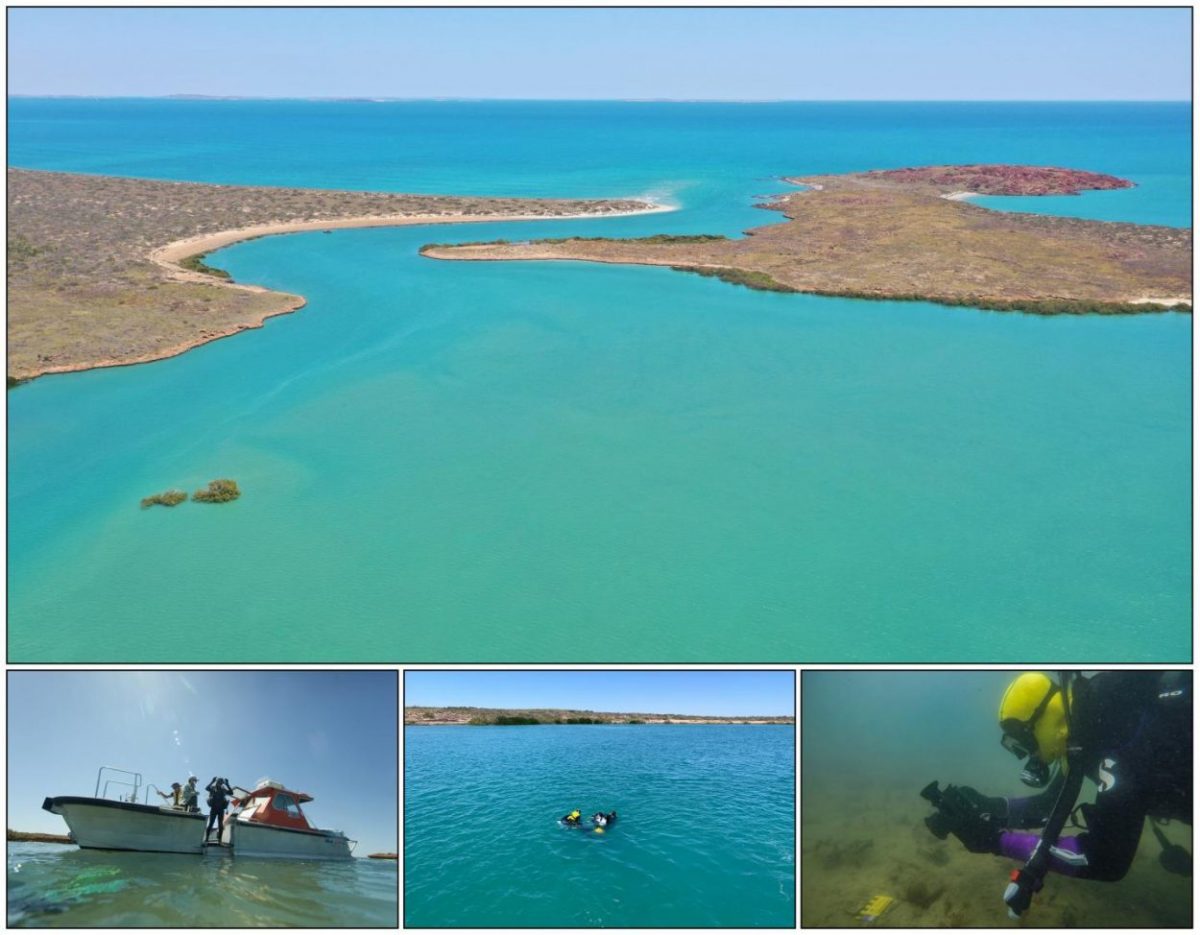 The discoveries were made through a series of archaeological and geophysical surveys in the Dampier Archipelago, as part of the Deep History of Sea Country Project. Image Credit: PLOS ONE