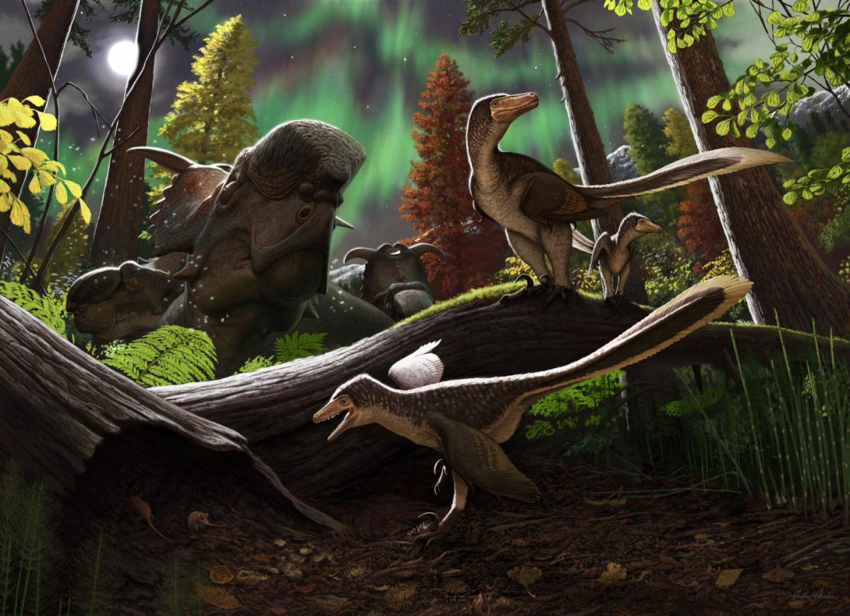 Fossil jawbone from Alaska is a rare case of a juvenile Arctic dromaeosaurid dinosaur. Credit: Andrey Atuchin