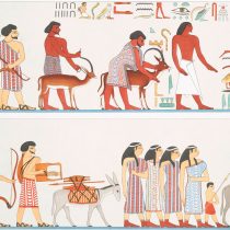Ancient Egypt’s Hyksos might have been immigrants, not invaders, new study claims