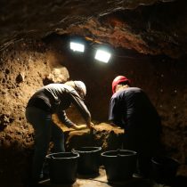 5,000 years of history of domestic cats in Central Europe