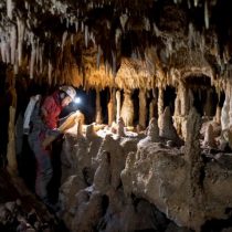 Homo Neanderthaliensis did not become extinct because of climate
