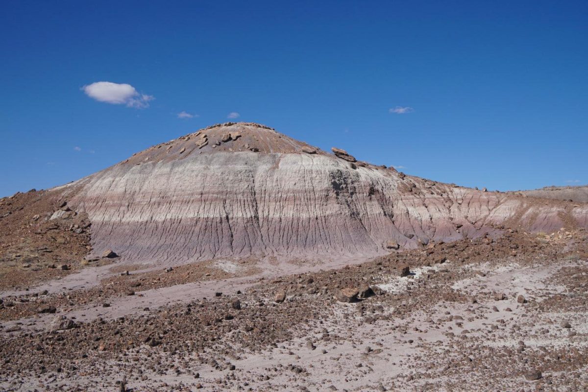 Arizona rock. Image Credit: Randall Irmis/NHMU