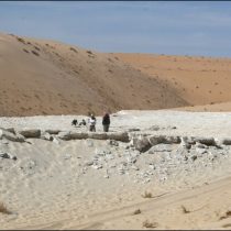 Human footprints give glimpse of Arabian ecology 120000 years ago