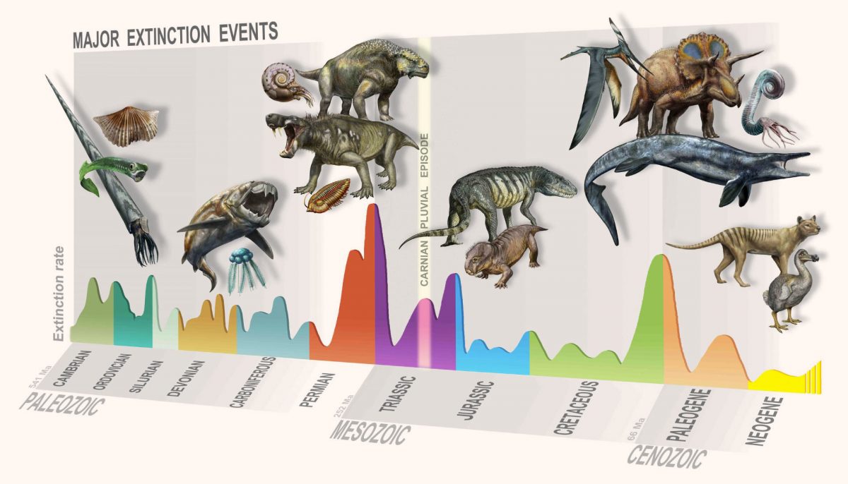 Summary of major extinction events through time, highlighting the new, Carnian Pluvial Episode at 233 million years ago. Credit:
© D. Bonadonna/ MUSE, Trento.