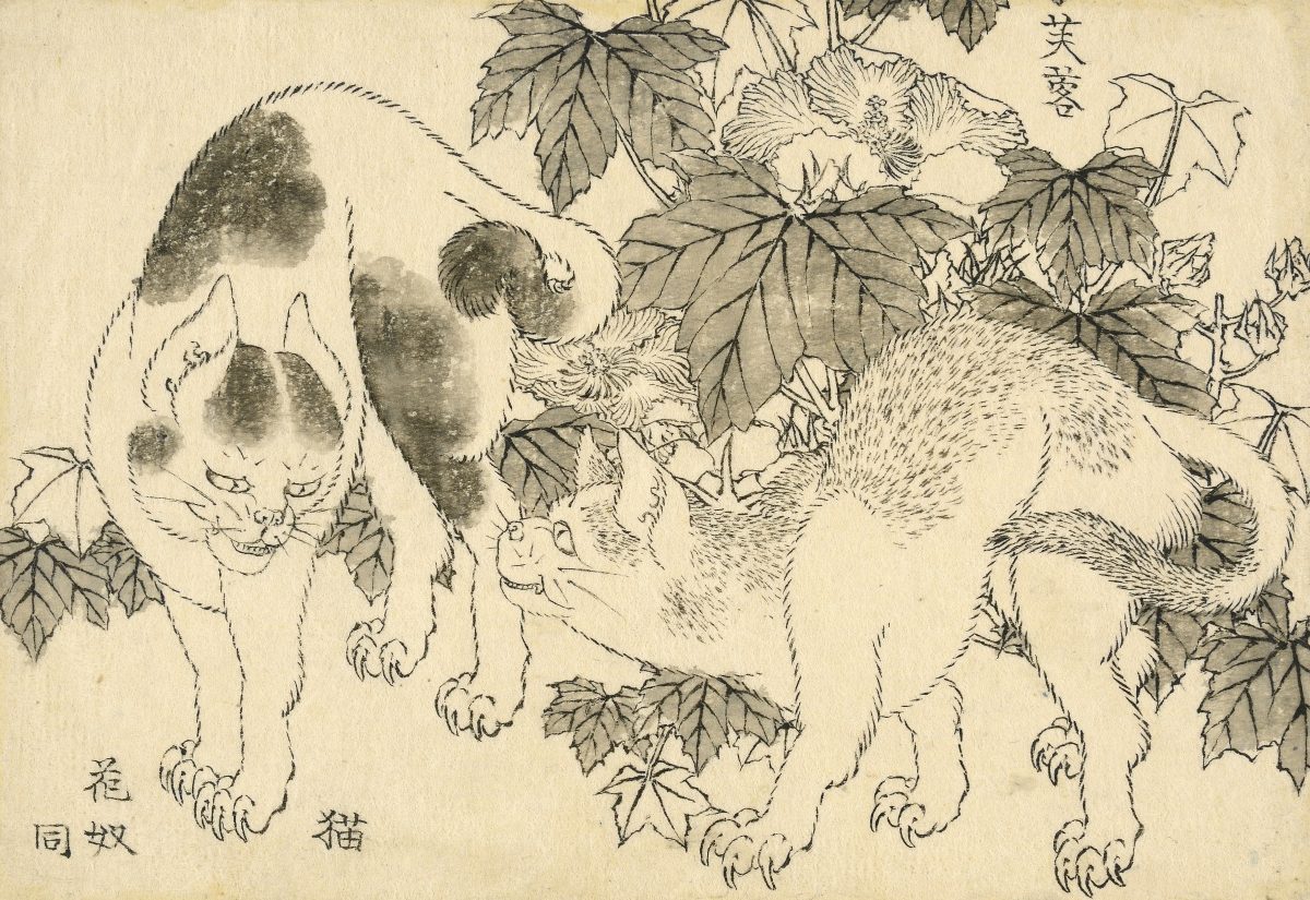 Cats and hibiscus. A standoff between two cats, with hibiscus (fuyō) behind. Katsushika Hokusai, 1829. © The Trustees of the British Museum