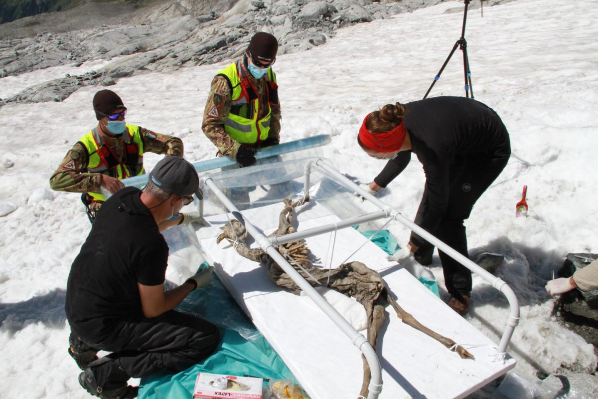 Marco Samadelli, conservation expert at Eurac Research, and Eurac Research anthropologist Alice Paladin with the 400-year-old chamois discovered in Val Aurina, South Tyrol (Italy). The discovery site, at 3200 m MSL, is impassable and can only be reached by a six-hour hike. For this reason, following their initial inspection, the researchers decided to ask for the support of the Alpine Army Corps in the recovery of the animal. Credit: 
Esercito Italiano - Comando Truppe Alpine