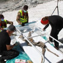 A 400-year-old chamois as a model for research on ice mummies