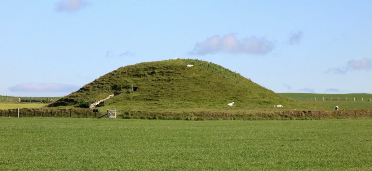 Stenness, Scotland, September 7 June 2019. Credit : Ms. van der Reijden