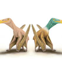 Naked prehistoric monsters!