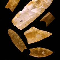 New clues revealed about Clovis People