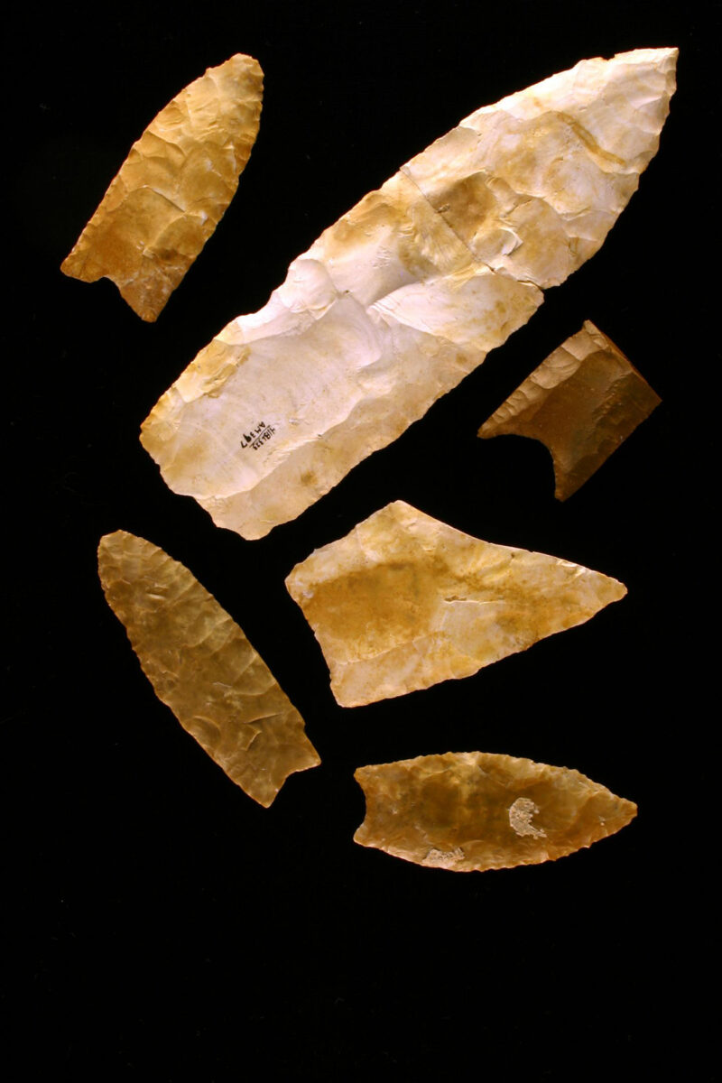Clovis spear points from the Gault site in Texas. Credit: Center for the Study of the First Americans, Texas A&M University