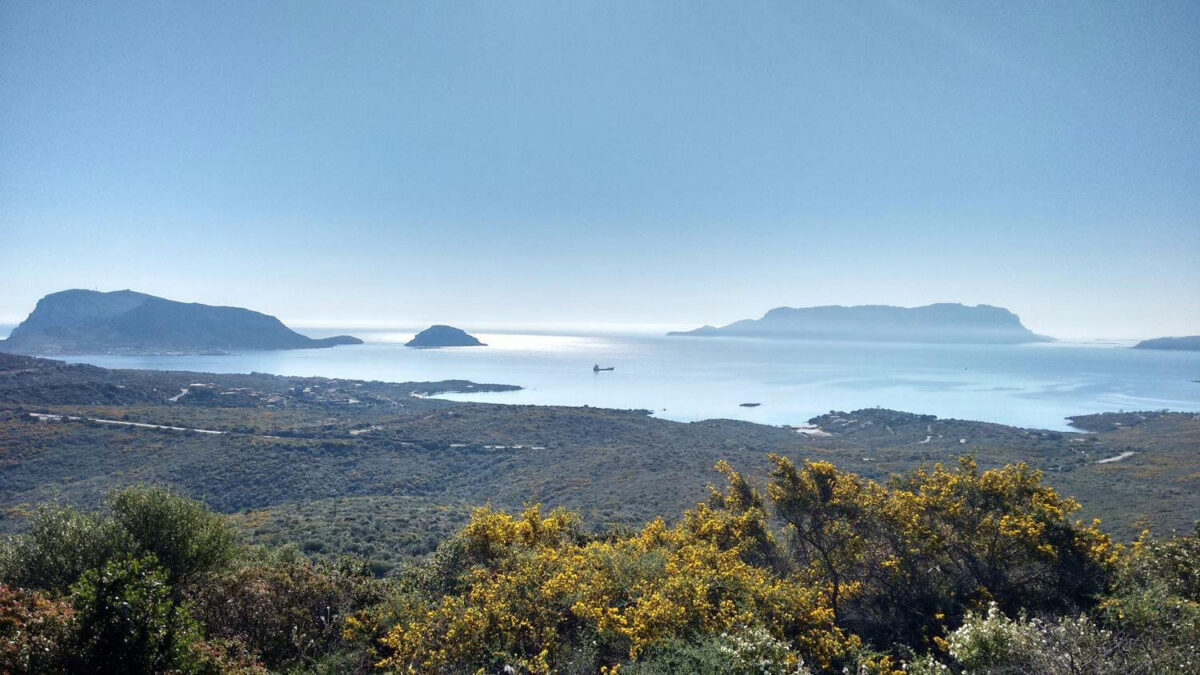 The island Tavolara, northeast of Sardinia – in the early Iron Age, islanders
and mainlanders met here to exchange goods. Credit: Silvia Amicone
