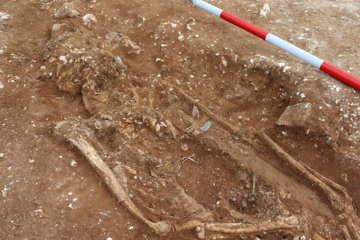 The remains of the warlord. Credit: University of Reading