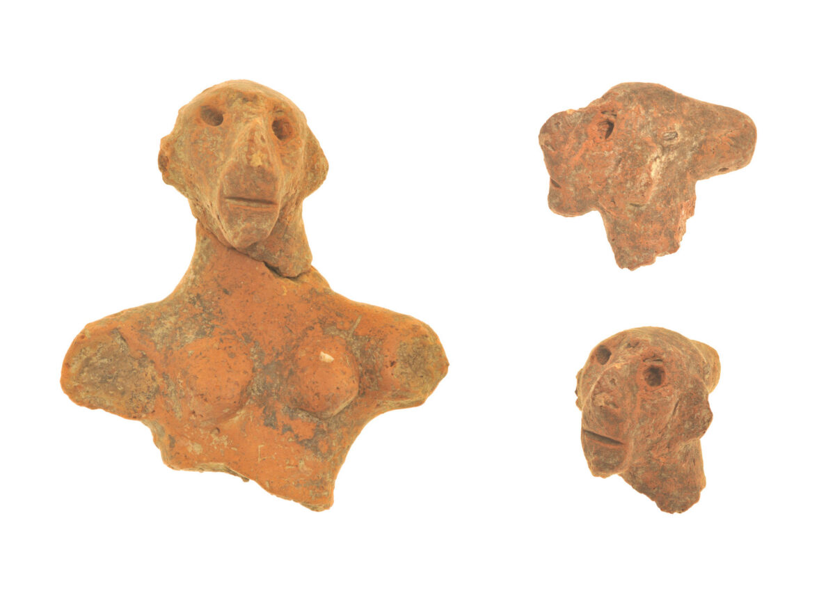 Fragmentary figurine of the Protopalatial period named 'The Lady of Zominthos' (photo: MOCAS). 
