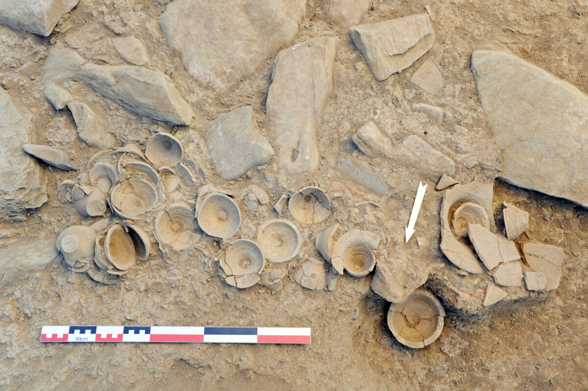 Vessels discovered at Zominthos (photo: MOCAS).