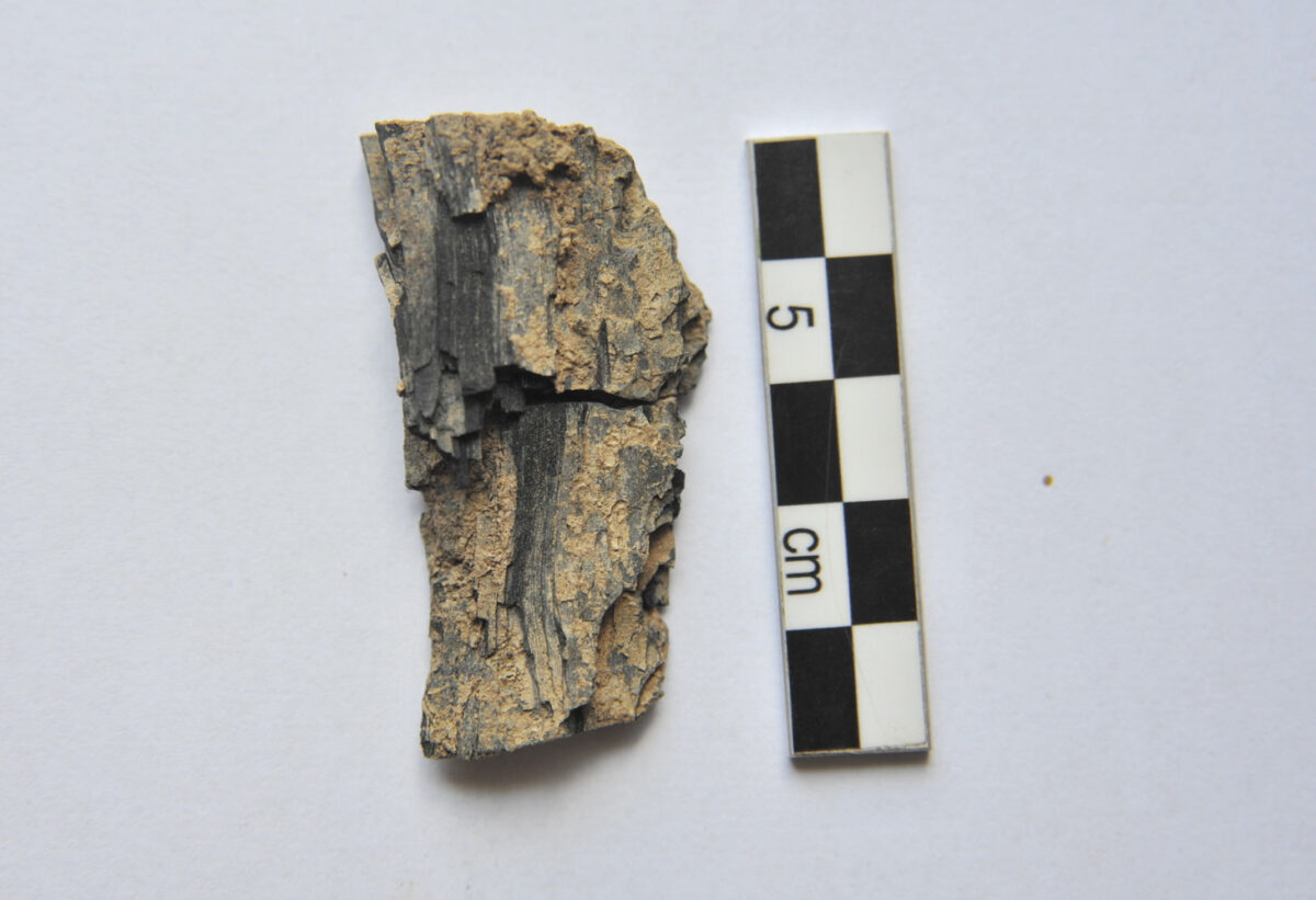 Zominthos: Under the altar’s stone layer a piece of burnt wood was found on which about 90 small sheets of gold were either attached or scattered round it (photo: MOCAS).