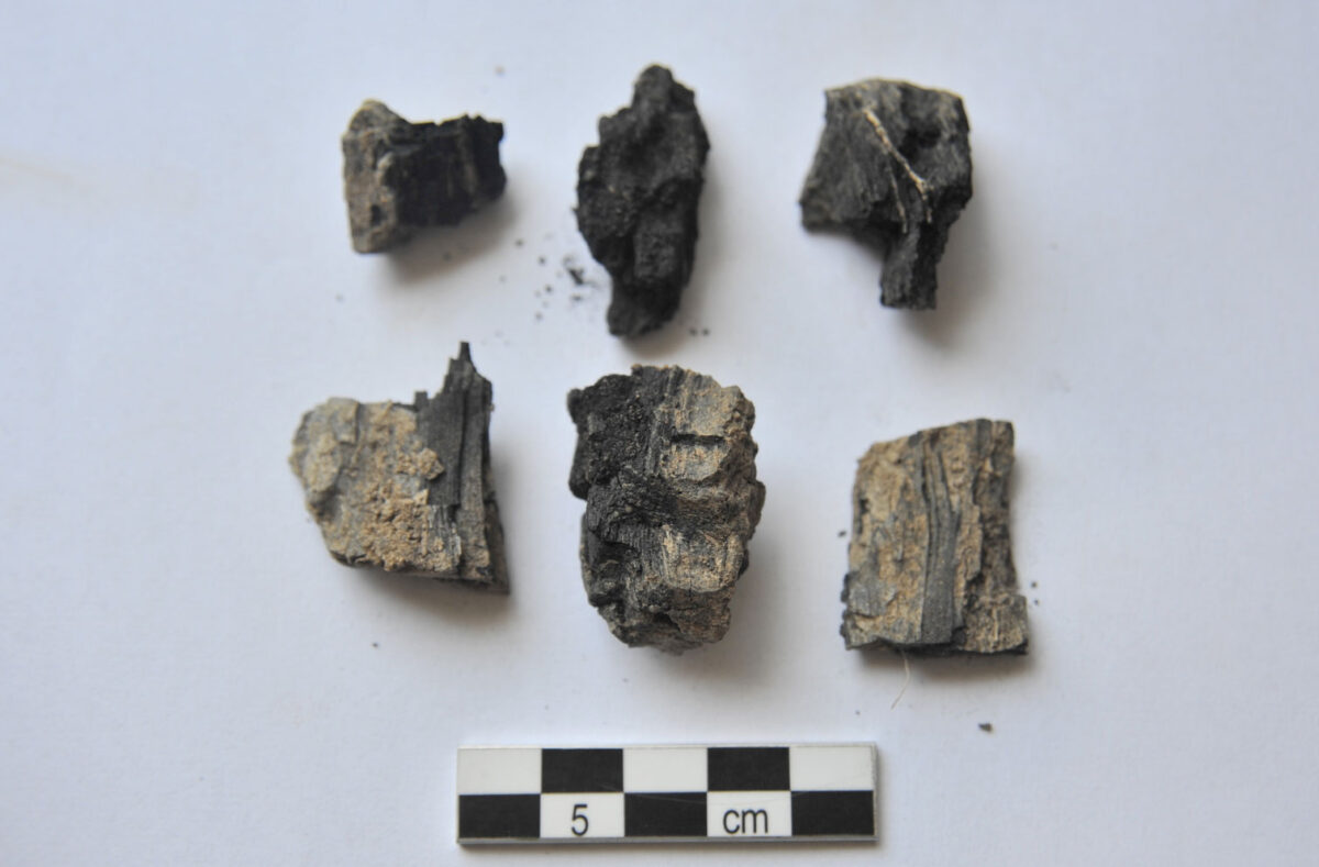 Zominthos: Under the altar’s stone layer a piece of burnt wood was found on which about 90 small sheets of gold were either attached or scattered round it (photo: MOCAS).