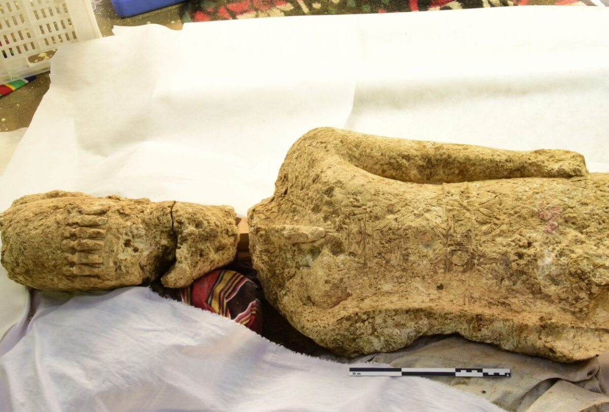 One of the findings. Image Credit : K. Braulinska