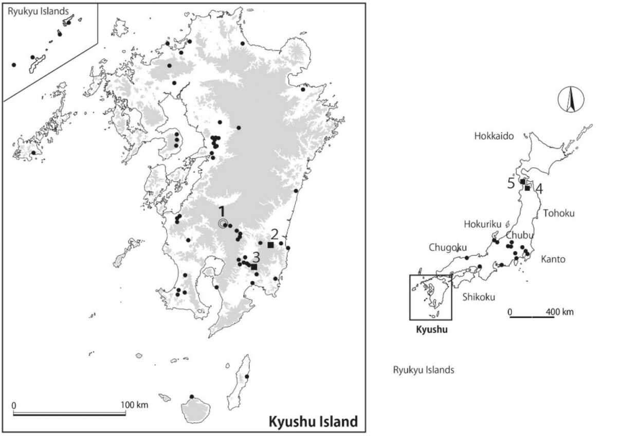 (Left) The location of the Yakushoden site where the pottery with insect (weevil) impressions was discovered is indicated by the number 1. (Other numbers in the image indicate areas discussed in the research paper.) (Right) Map of other maize weevil excavation sites from the Jomon period. Credit : Professor Hiroki Obata