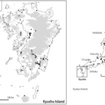 X-ray imaging of a beetle’s world in ancient earthenware