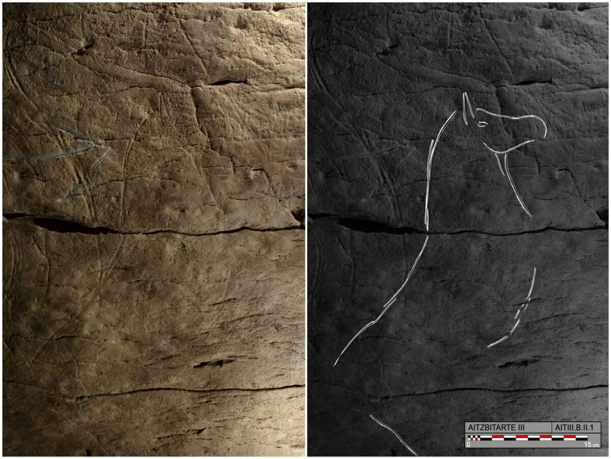 Photograph and tracing of horse B.II.1, engraved on the right-hand wall in Aitzbitarte Cave III (O. Rivero and D. Garate). Credit: 
Garate et al, 2020 (PLOS ONE, CC BY)