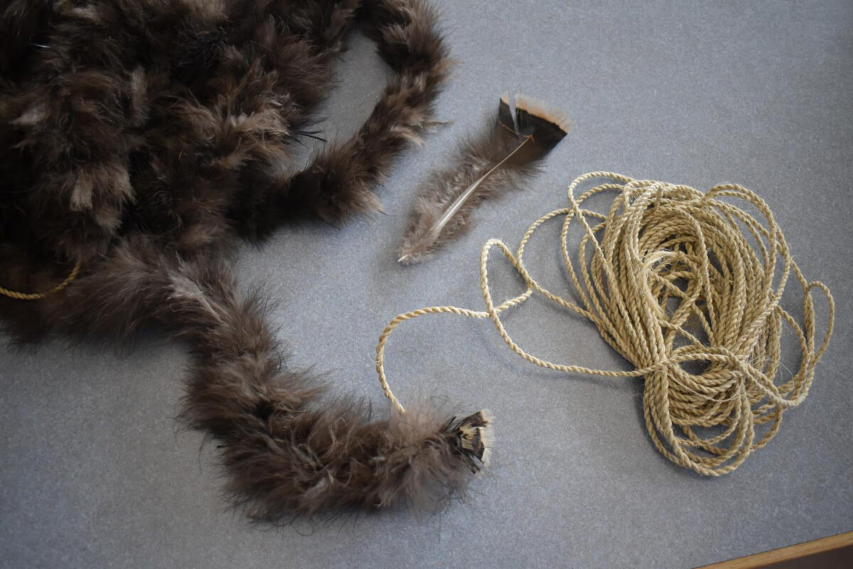A segment of fiber cord that has been wrapped with turkey feathers, along with a single downy feather. Credit : WSU